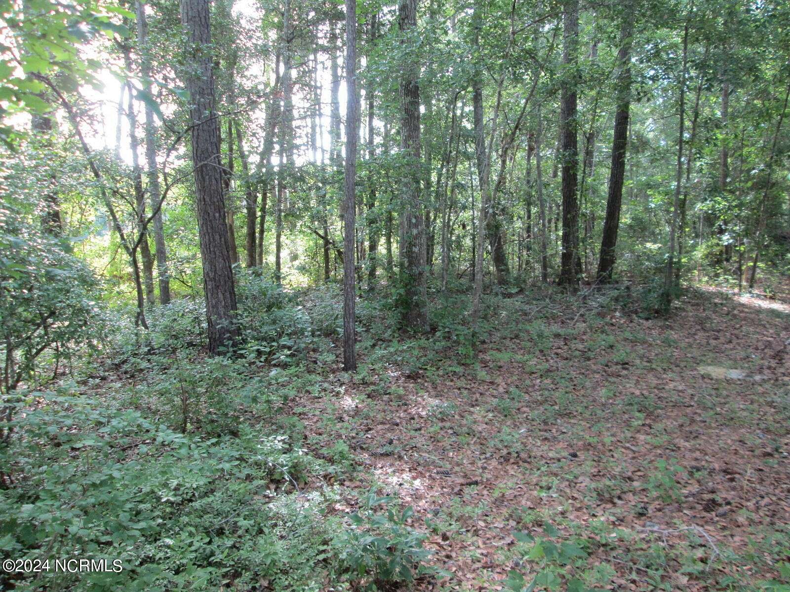 0.48 Acres of Land for Sale in Supply, North Carolina