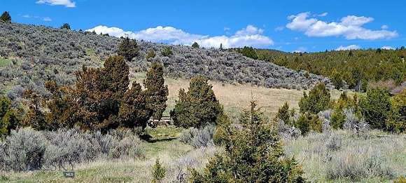 160 Acres of Land for Sale in Alder, Montana