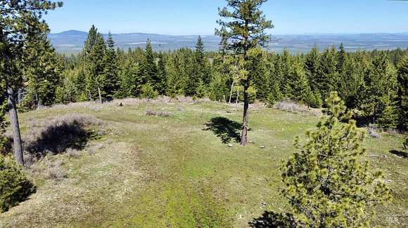 9.5 Acres of Residential Land for Sale in Grangeville, Idaho