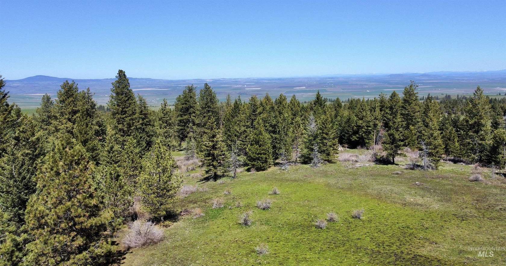 10.5 Acres of Land for Sale in Grangeville, Idaho