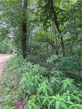 0.41 Acres of Residential Land for Sale in Rogers, Arkansas