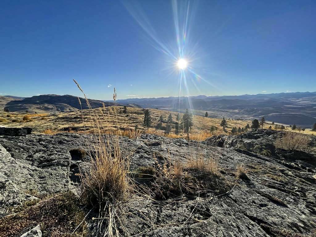 101 Acres of Recreational & Residential Land for Sale in Tonasket, Washington