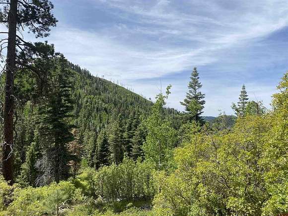 10 Acres of Land for Sale in Durango, Colorado