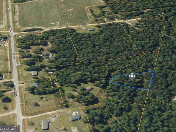 1 Acres of Residential Land for Sale in Sardis, Georgia
