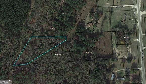 1.3 Acres of Residential Land for Sale in Sardis, Georgia