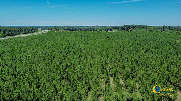 27 Acres of Recreational Land for Sale in Butler, Georgia