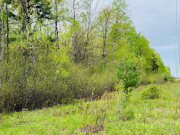 20 Acres of Recreational Land for Sale in White Cloud, Michigan
