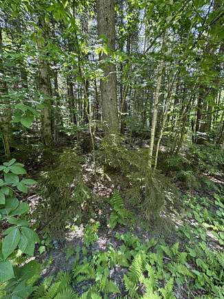 1 Acre of Land for Sale in Wardsboro, Vermont