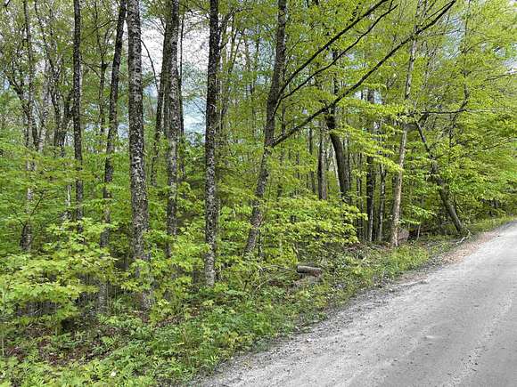 10.3 Acres of Recreational Land for Sale in Chester, Vermont