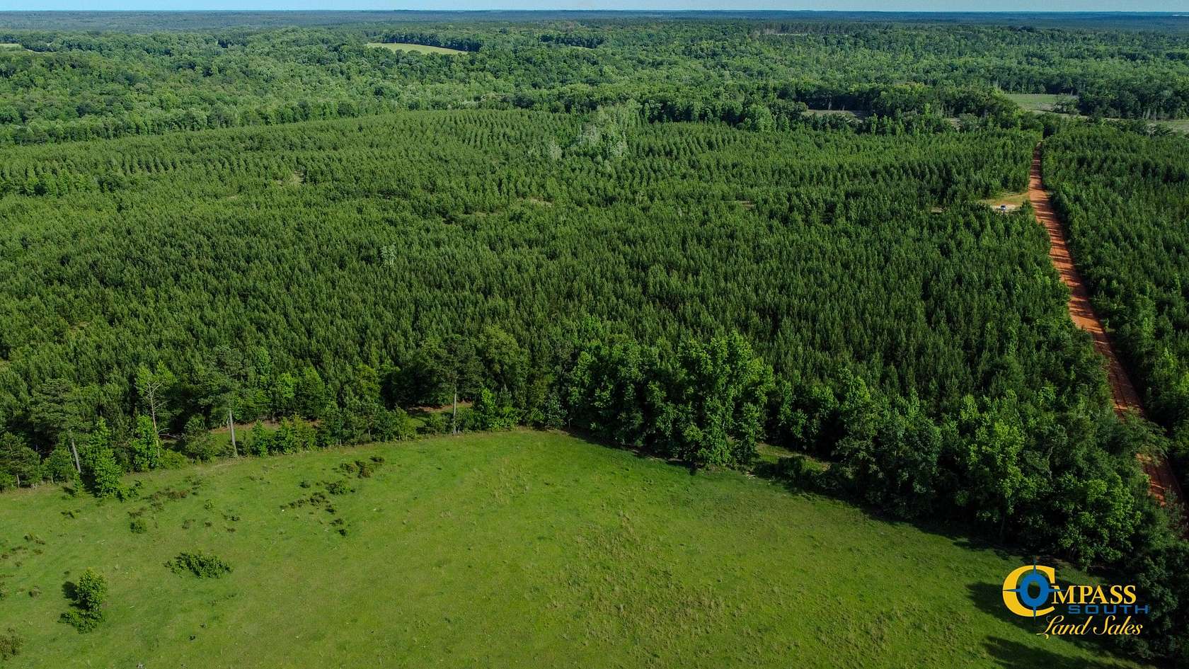 87 Acres of Recreational Land for Sale in Americus, Georgia