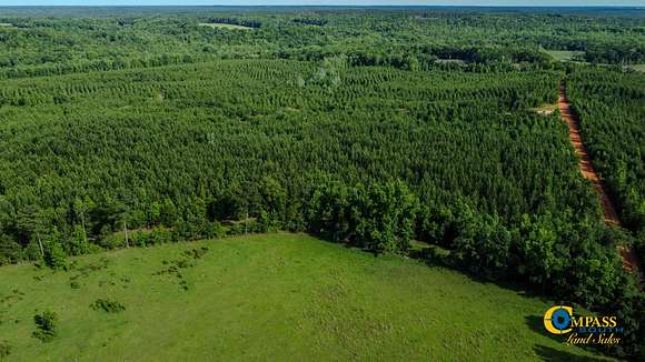 87 Acres of Recreational Land for Sale in Americus, Georgia