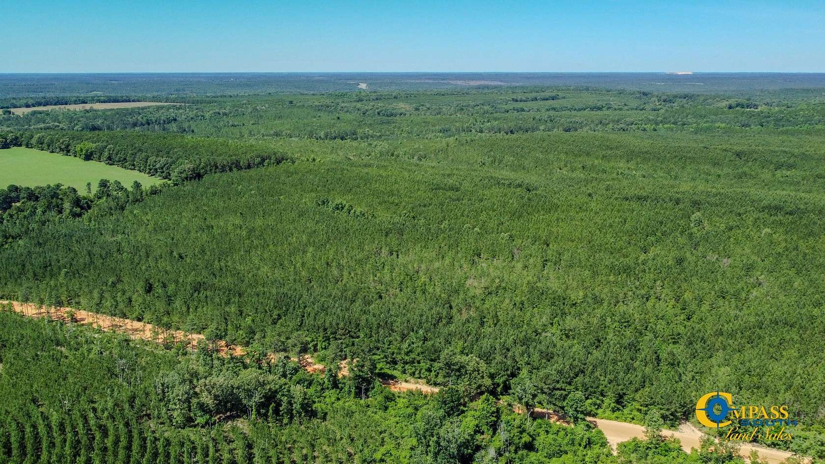 72 Acres of Recreational Land for Sale in Butler, Georgia