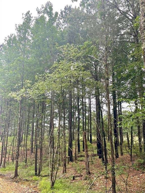 1.229 Acres of Residential Land for Sale in Broken Bow, Oklahoma