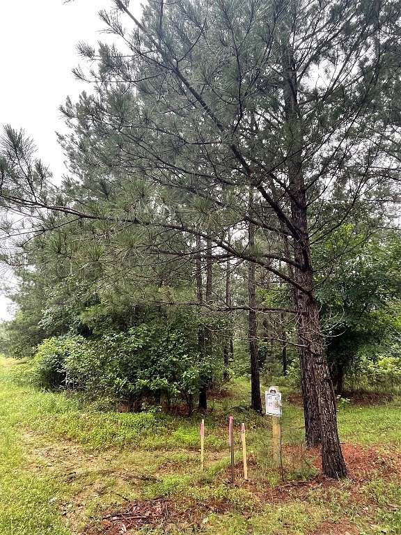1 Acre of Residential Land for Sale in Broken Bow, Oklahoma