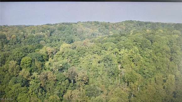 20 Acres of Recreational Land for Sale in Newport, Ohio