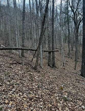 17.2 Acres of Recreational Land for Sale in Butler, Tennessee