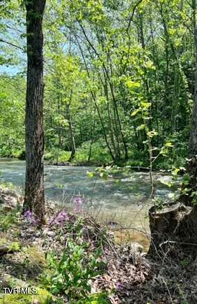 17 2 Acres of Recreational Land - Butler Tn 121716413