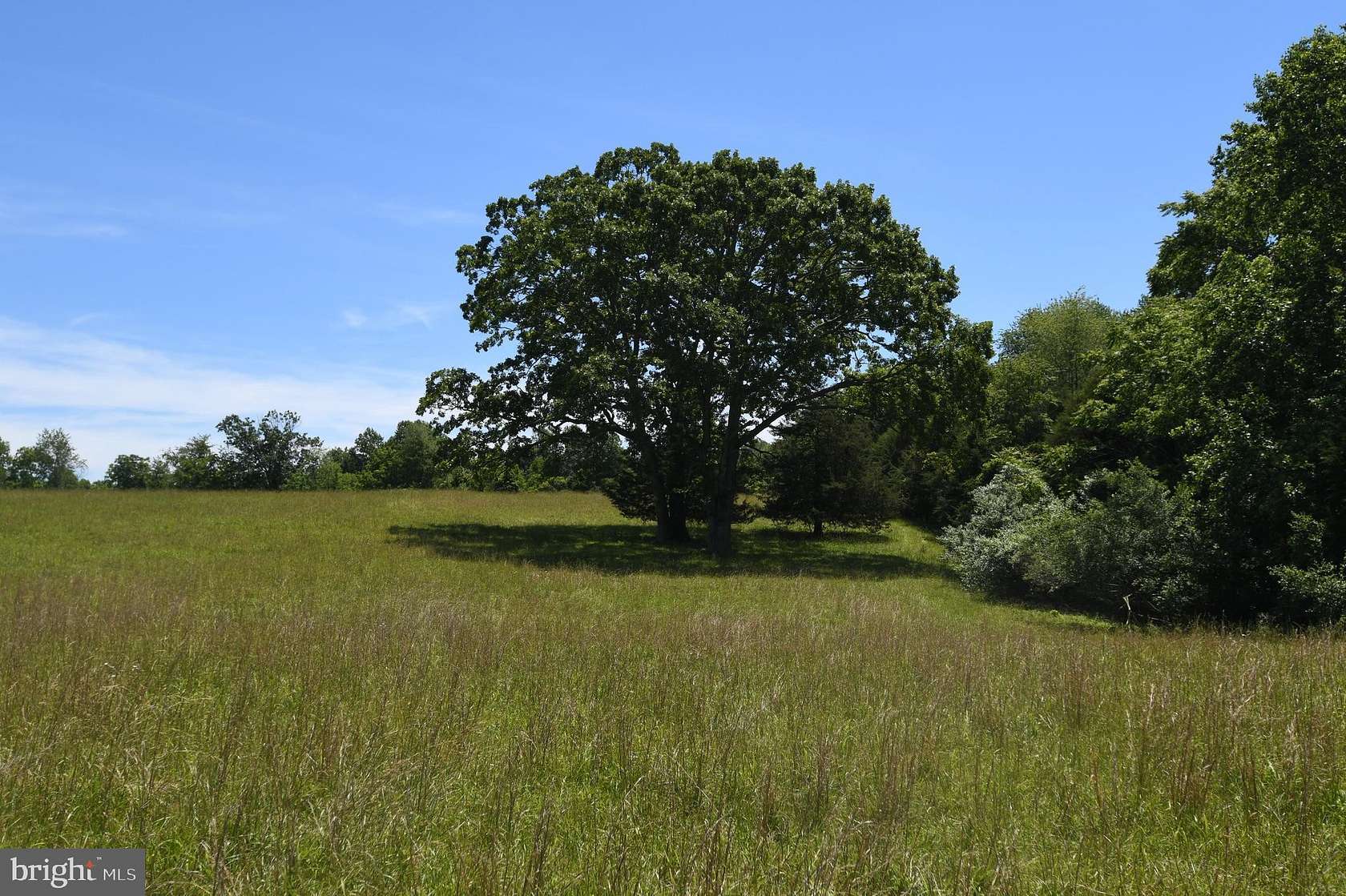 100.24 Acres of Recreational Land & Farm for Sale in Sperryville, Virginia