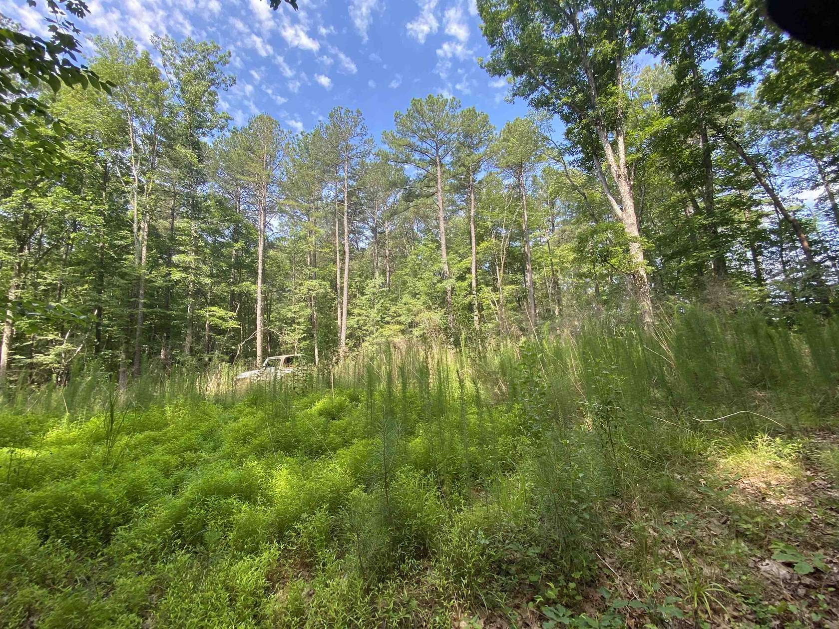 4.95 Acres of Residential Land for Sale in Wake Forest, North Carolina