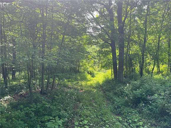 27.8 Acres of Land for Sale in Hector, New York