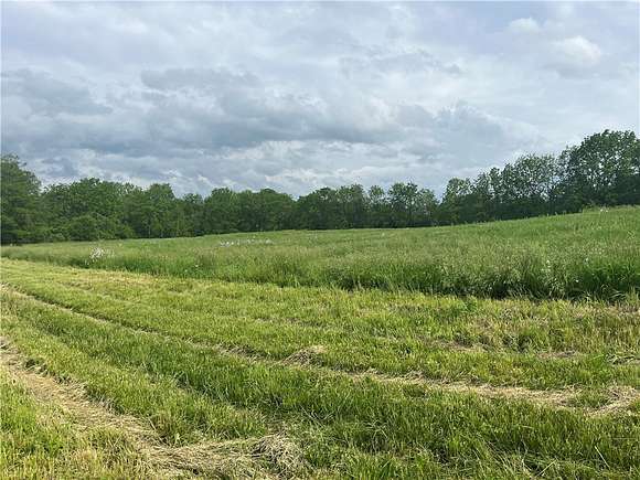 38.7 Acres of Agricultural Land for Sale in Hector, New York