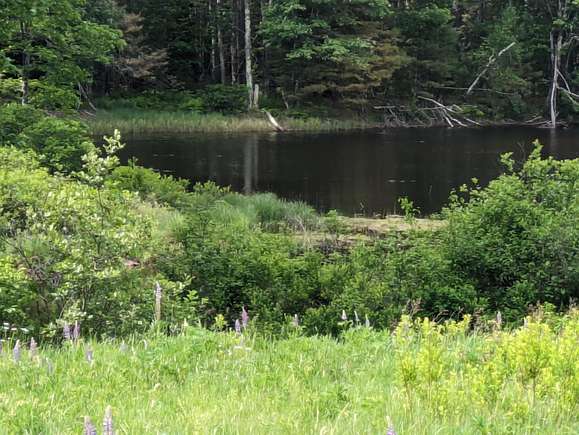 3 Acres of Land for Sale in Standish, Maine