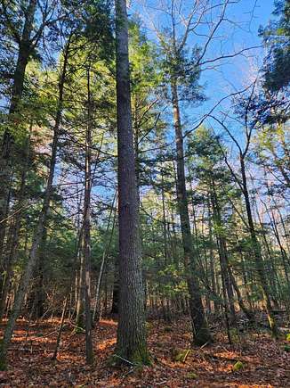 11.4 Acres of Land for Sale in Pittston, Maine