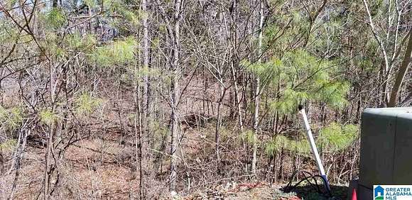 0.437 Acres of Land for Sale in Chelsea, Alabama