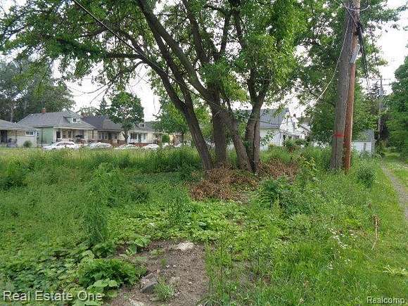 0.21 Acres of Residential Land for Sale in Hamtramck, Michigan