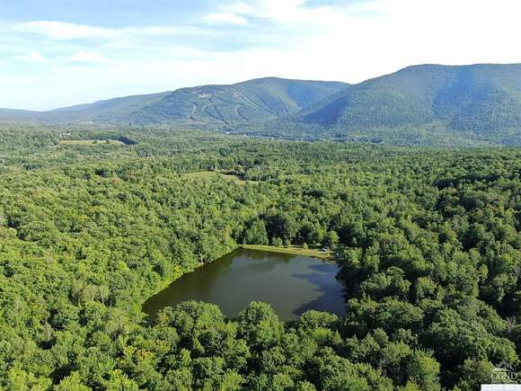 177 Acres of Land for Sale in Hunter, New York
