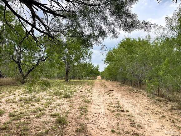 100 Acres of Recreational Land & Farm for Sale in Rio Grande City, Texas