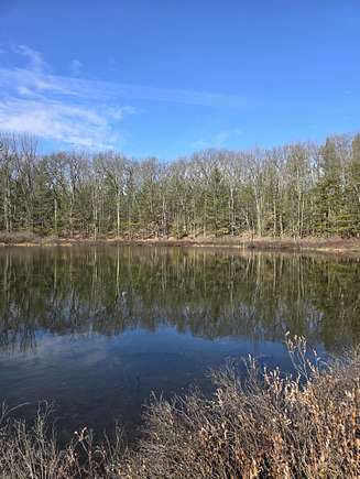 20 Acres of Recreational Land for Sale in Irons, Michigan