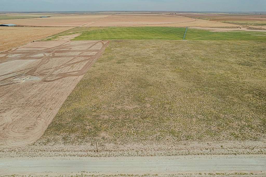 10 Acres of Land for Sale in Seagraves, Texas