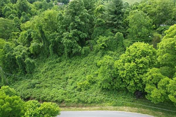 0.5 Acres of Land for Sale in Marion, Virginia