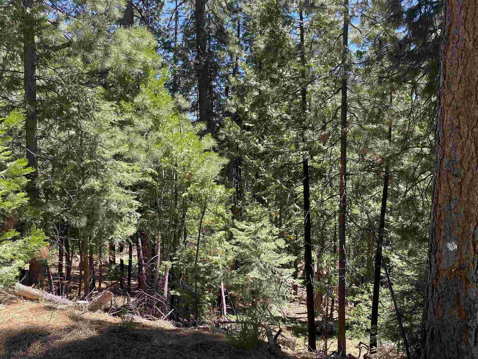 0.28 Acres of Residential Land for Sale in Cold Springs, California