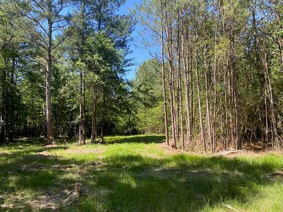 4.8 Acres of Residential Land for Sale in Plainville, Georgia