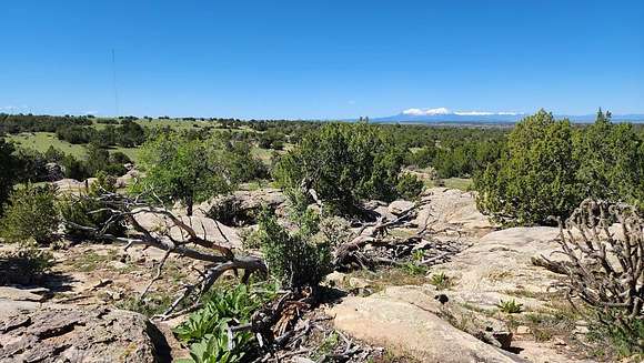 39.4 Acres of Land for Sale in Walsenburg, Colorado
