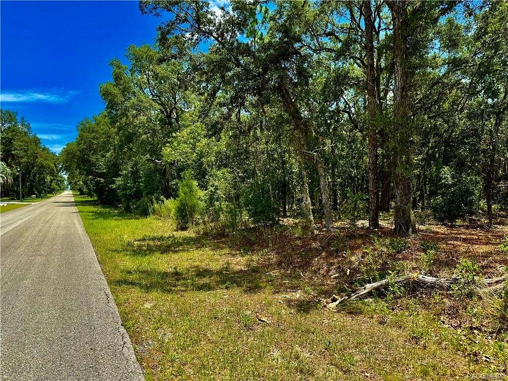 0.97 Acres of Land for Sale in Hernando, Florida