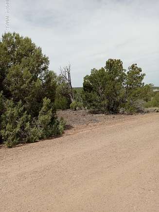 0.23 Acres of Residential Land for Sale in Show Low, Arizona