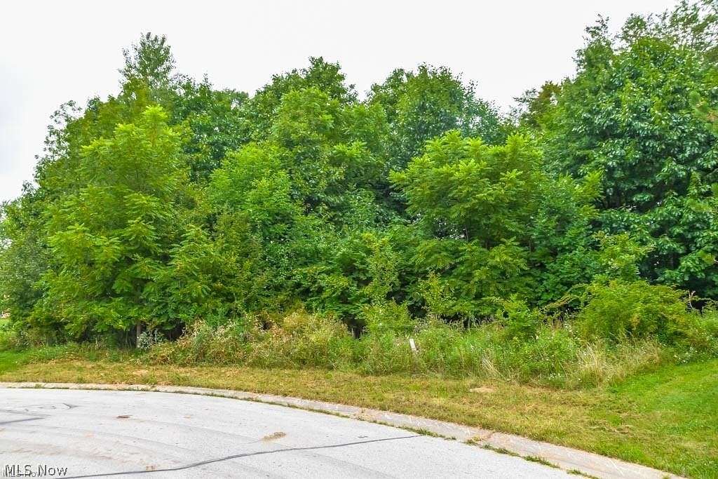 0.45 Acres of Residential Land for Sale in Canton, Ohio