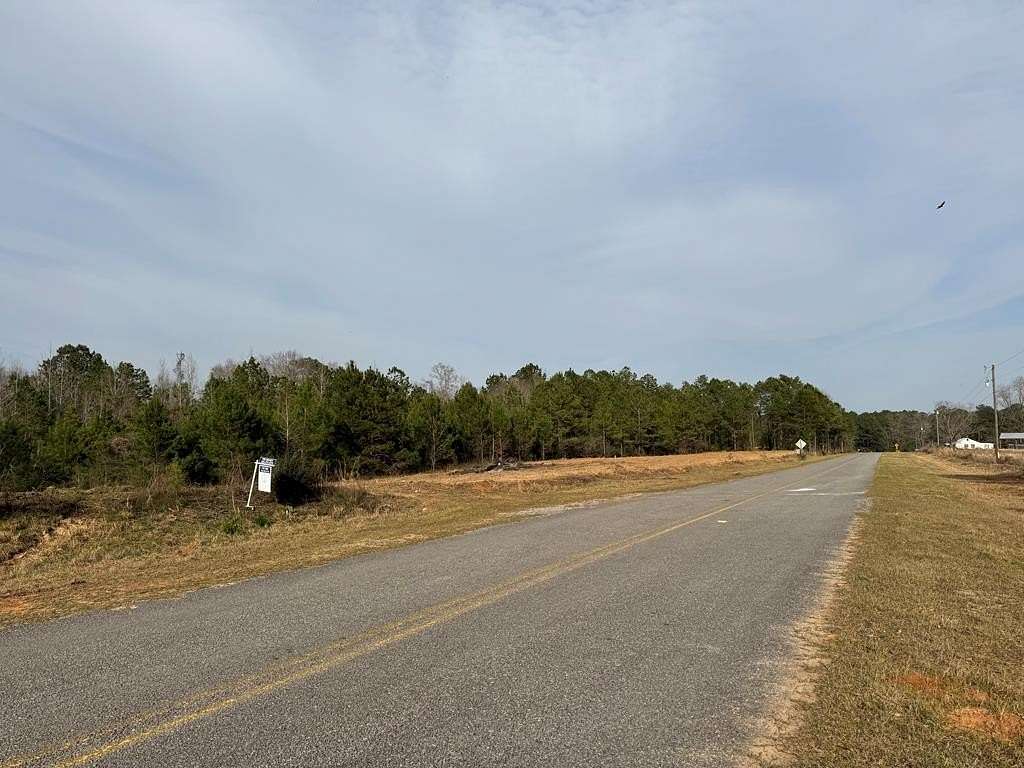 18.4 Acres of Land for Sale in Elba, Alabama