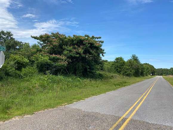 19 Acres of Mixed-Use Land for Sale in Elba, Alabama