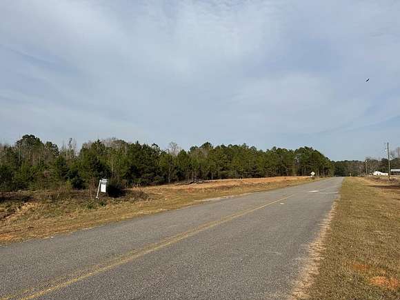 18.4 Acres of Land for Sale in Elba, Alabama