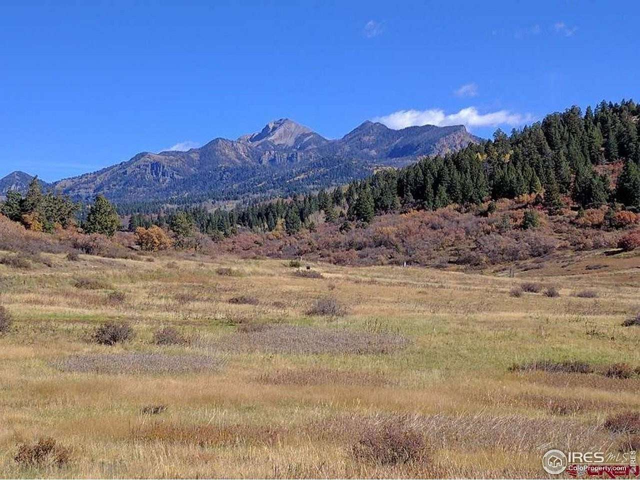 3 Acres of Residential Land for Sale in Pagosa Springs, Colorado