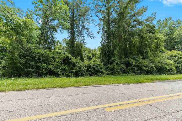 20 Acres of Land for Sale in Walnut Hill, Florida