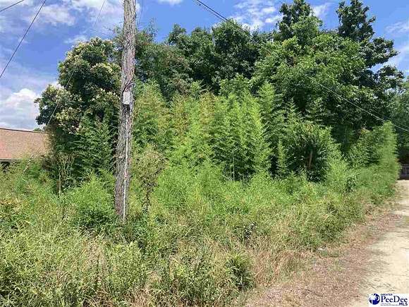 0.14 Acres of Residential Land for Sale in Dillon, South Carolina