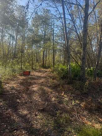 23.57 Acres of Recreational Land for Sale in Valdosta, Georgia