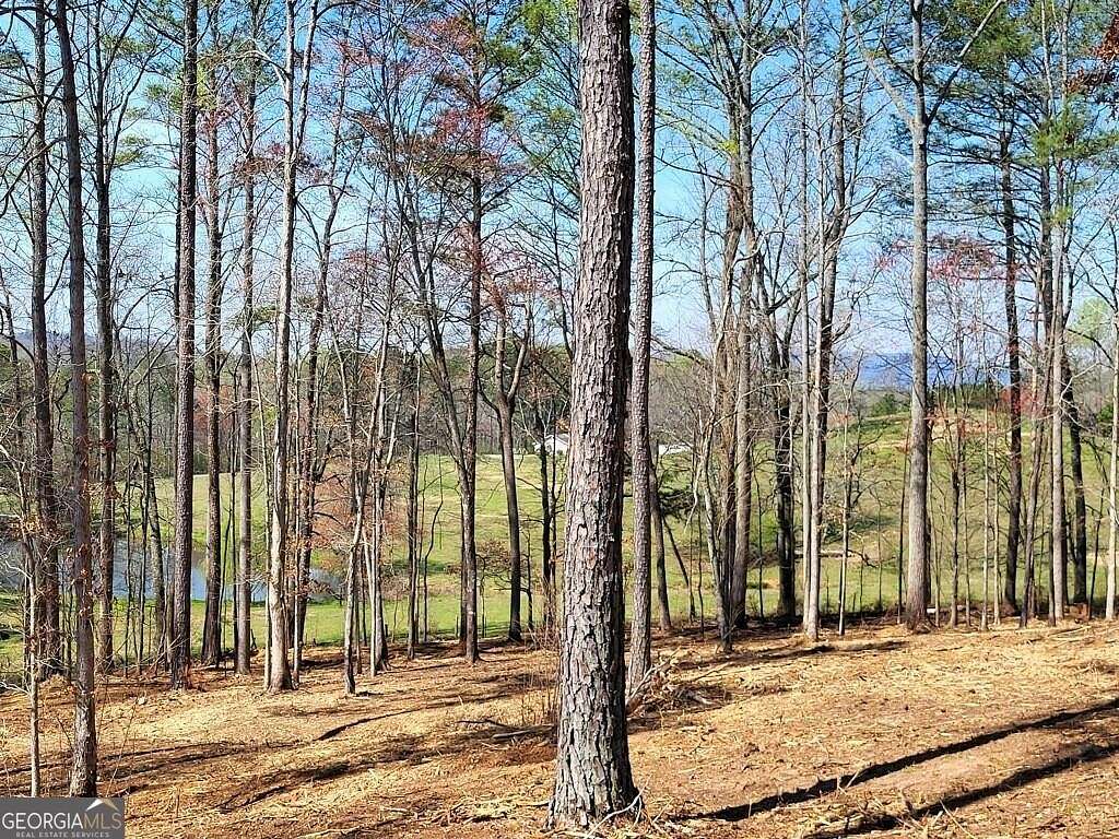 21.1 Acres of Land for Sale in Canton, Georgia