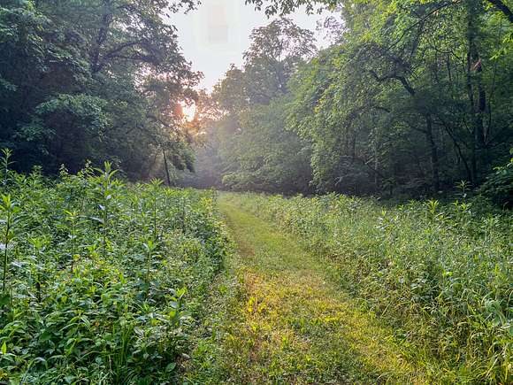275 Acres of Recreational Land & Farm for Sale in Galena, Missouri