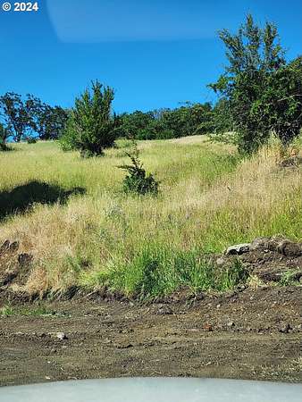 48.7 Acres of Recreational Land & Farm for Sale in Roseburg, Oregon